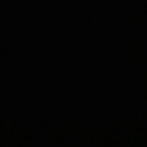 Meet your Posher, Penguin